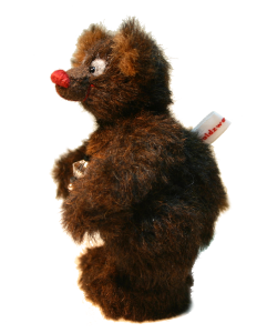 dunkel brauner Waldzwerge Miniatur Teddy mit hellen Augenflecken und roter Nase im Profil 