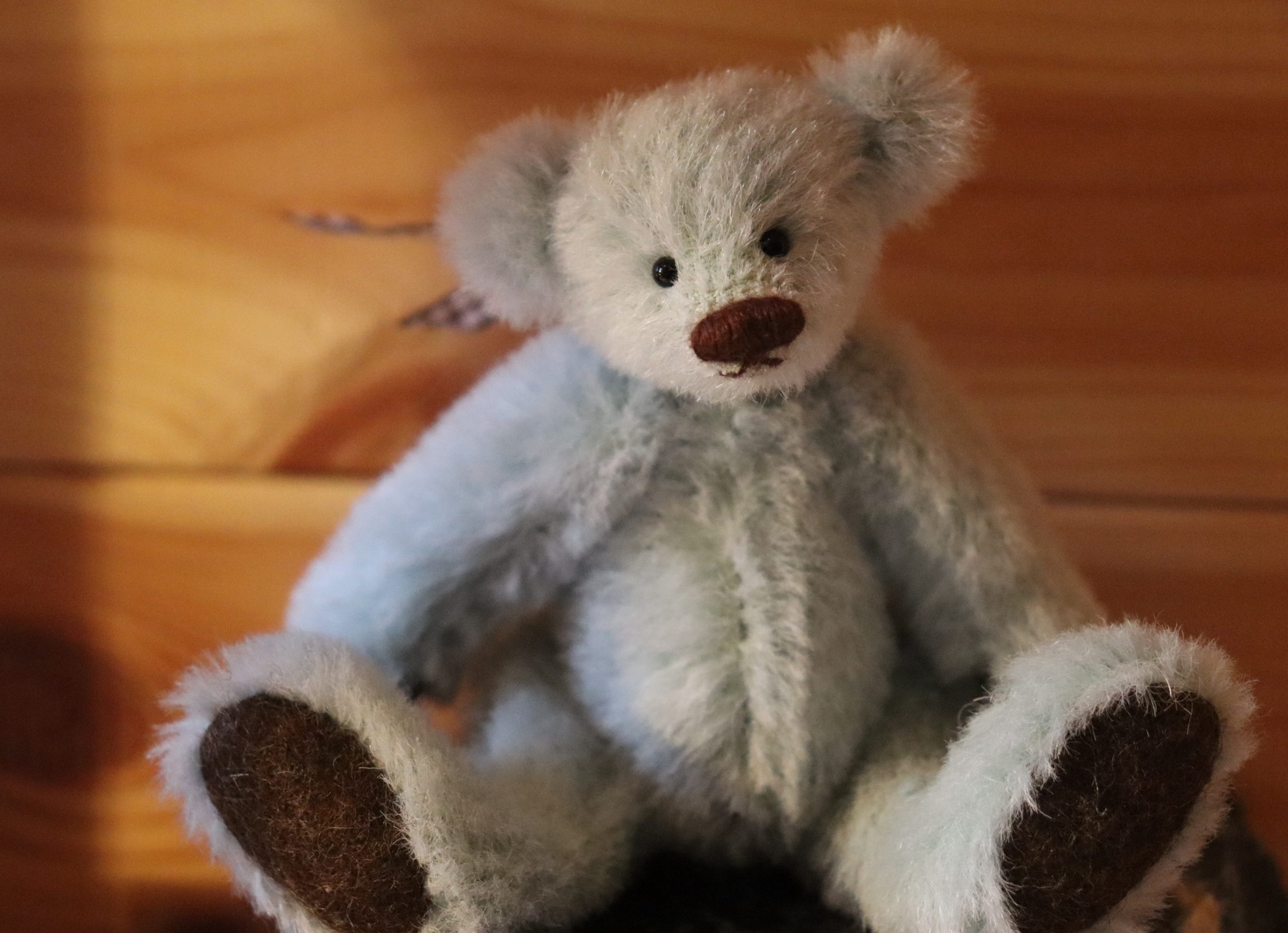 Mehr über den Artikel erfahren Klassische „Teddys“