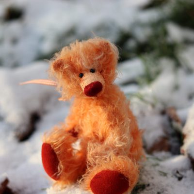 +++ Frühlingshaftes zu Minusgraden +++