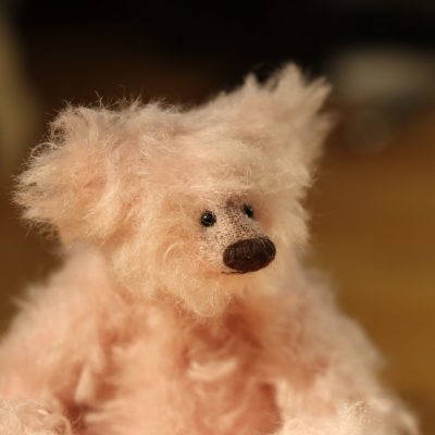 +++ Bär ohne Namen II. +++