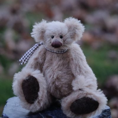 +++ Bär ohne Namen +++