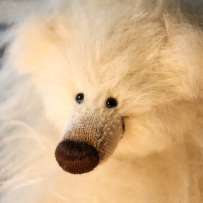 ++ Wald-Zwerg-Nasen-Bär  im Lionlook++