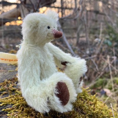 Profilbild kiwi grüner Waldzwerge Teddy mit brauner Nase und Fußsohlen sitzend auf Moos im Wald